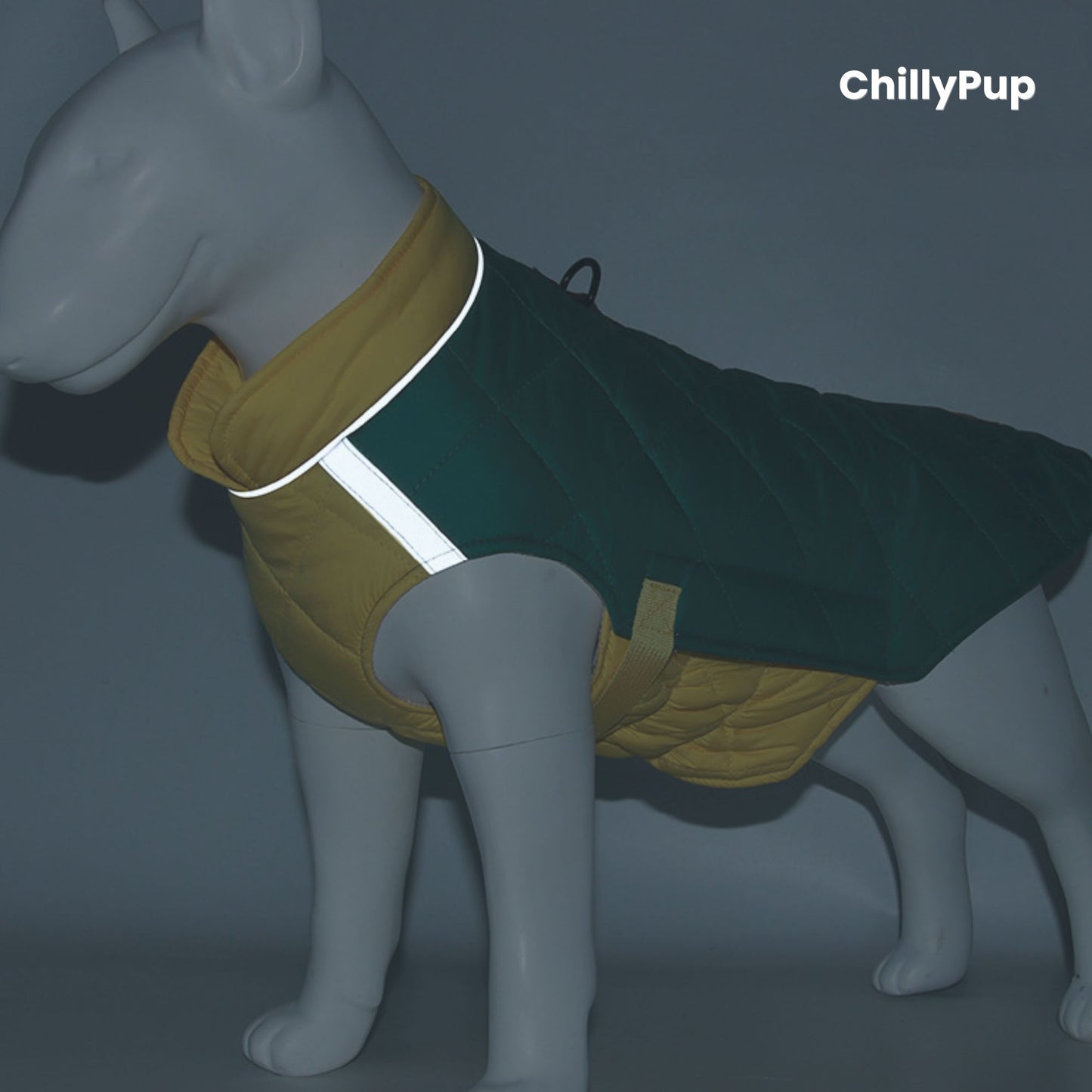 Mannequin dog wearing a green and yellow dog coat with reflective strip, branded 'ChillyPup'.