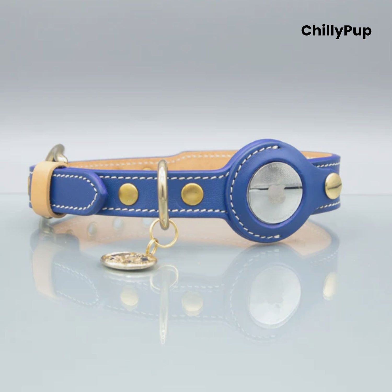 Apple AirTag Dog Collars & Holders