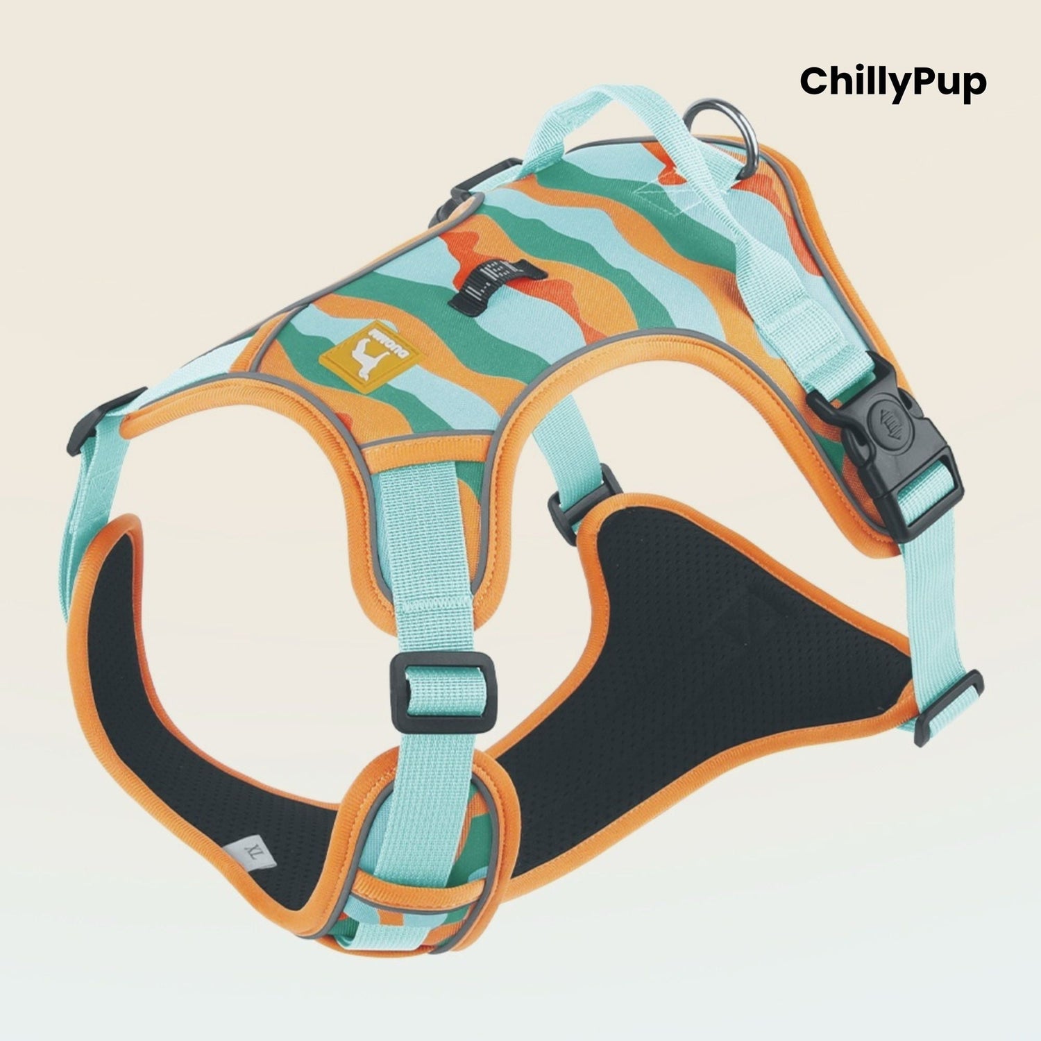 Dog Collars, Leads & Harnesses