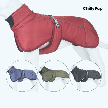 ArcticFlex Padded Dog Coat on a white background with ChillyPup branding.