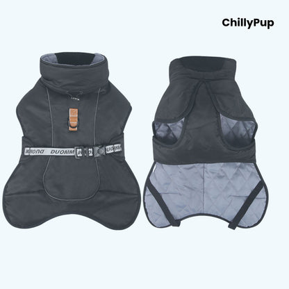 ArcticFlex Padded Dog Coat on a white background with ChillyPup branding.