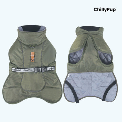 ArcticFlex Padded Dog Coat on a white background with ChillyPup branding.
