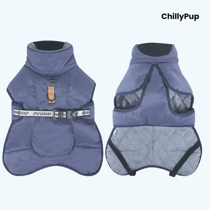 ArcticFlex Padded Dog Coat on a white background with ChillyPup branding.