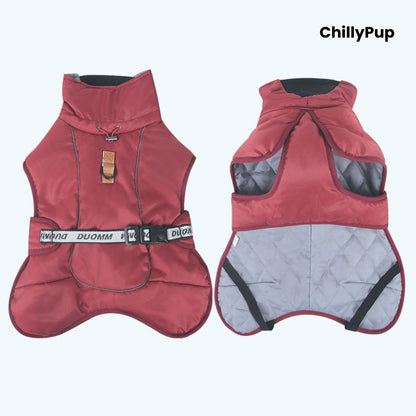 ArcticFlex Padded Dog Coat on a white background with ChillyPup branding.