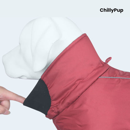 ArcticFlex Padded Dog Coat on a white background with ChillyPup branding.