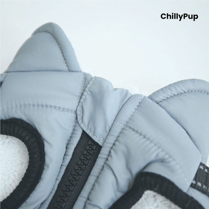 Dog coat with build in harness on a white background branded with chillypup 