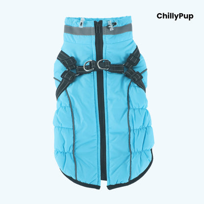 Arctic Core Harness Dog Coat on a white background with 'chillyPup branding