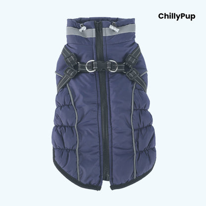 Arctic Core Harness Dog Coat on a white background with 'chillyPup branding