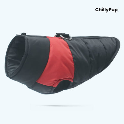 Dog puffer coat with 'ChillyPup' branding on a white background