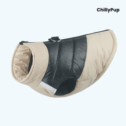 Dog puffer coat with 'ChillyPup' branding on a white background