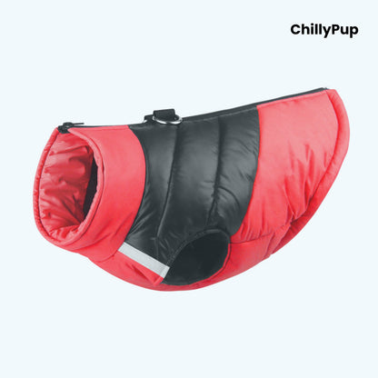 Dog puffer coat with 'ChillyPup' branding on a white background