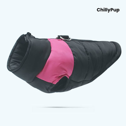 Dog puffer coat with 'ChillyPup' branding on a white background