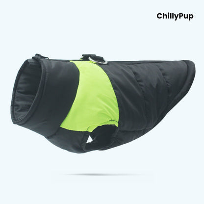 Dog puffer coat with 'ChillyPup' branding on a white background