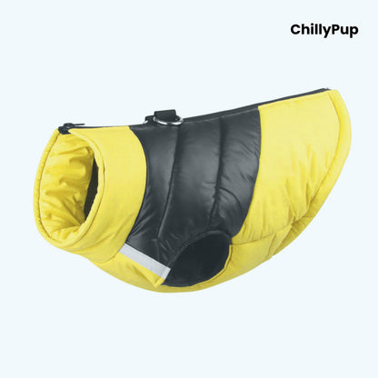 Dog puffer coat with 'ChillyPup' branding on a white background
