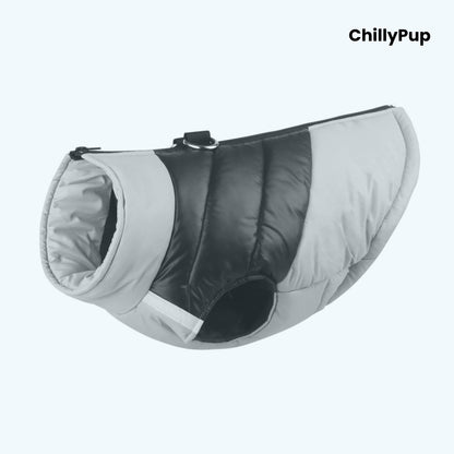 Dog puffer coat with 'ChillyPup' branding on a white background