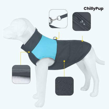 Dog coat with features highlighted on a mannequin, branded 'ChillyPup'.