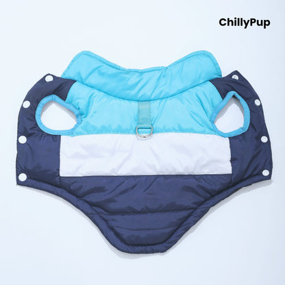 Dog coat with build in D rinf on a white background with Chillpup branding