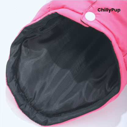 Dog coat with build in D rinf on a white background with Chillpup branding