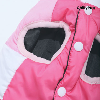 Dog coat with build in D rinf on a white background with Chillpup branding