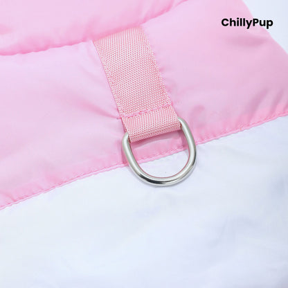 Dog coat with build in D rinf on a white background with Chillpup branding