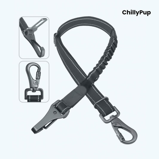 Dog Car Seat lead with with carabiner and clip on a white background with Chillypup branding'.