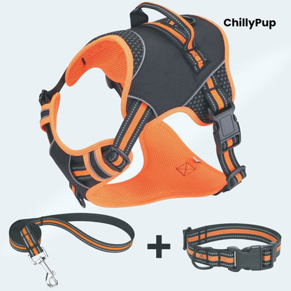 Dog harness, lead, and collar set with 'ChillyPup' branding on a light gray background.