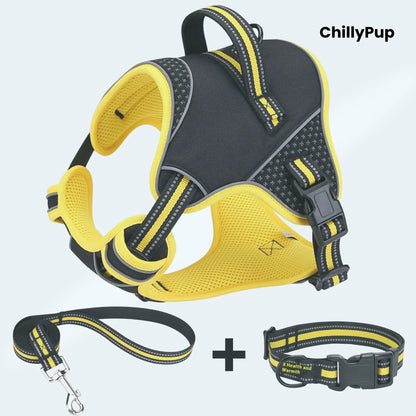 Dog harness, lead, and collar set with 'ChillyPup' branding on a light gray background.