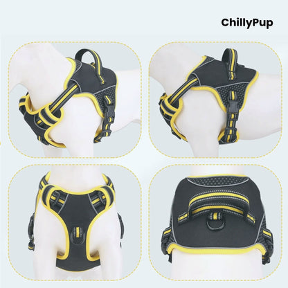 Black and yellow dog harness shown from multiple angles on a white background with 'ChillyPup' branding.