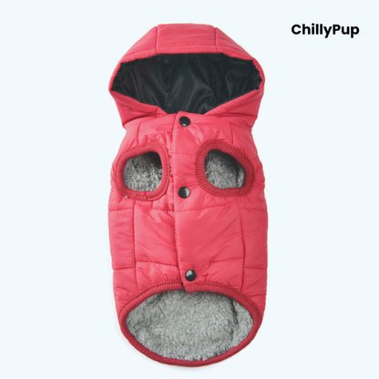 Pink quilted dog coat with grey lining on a white background, branded 'ChillyPup'.