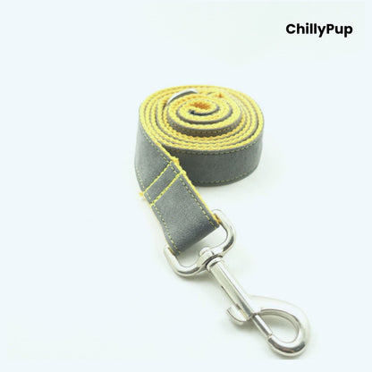 Grey and yellow dog lead with a clip on a white background, branded 'ChillyPup'.