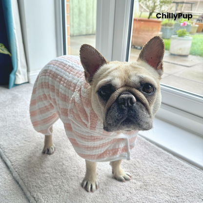 Mila wearing a striped robe standing indoors with a window in the background with ChillyPup Background