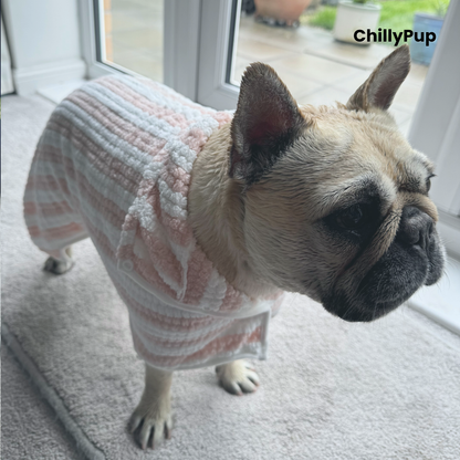 Mila wearing a striped robe standing indoors with a window in the background with ChillyPup Background