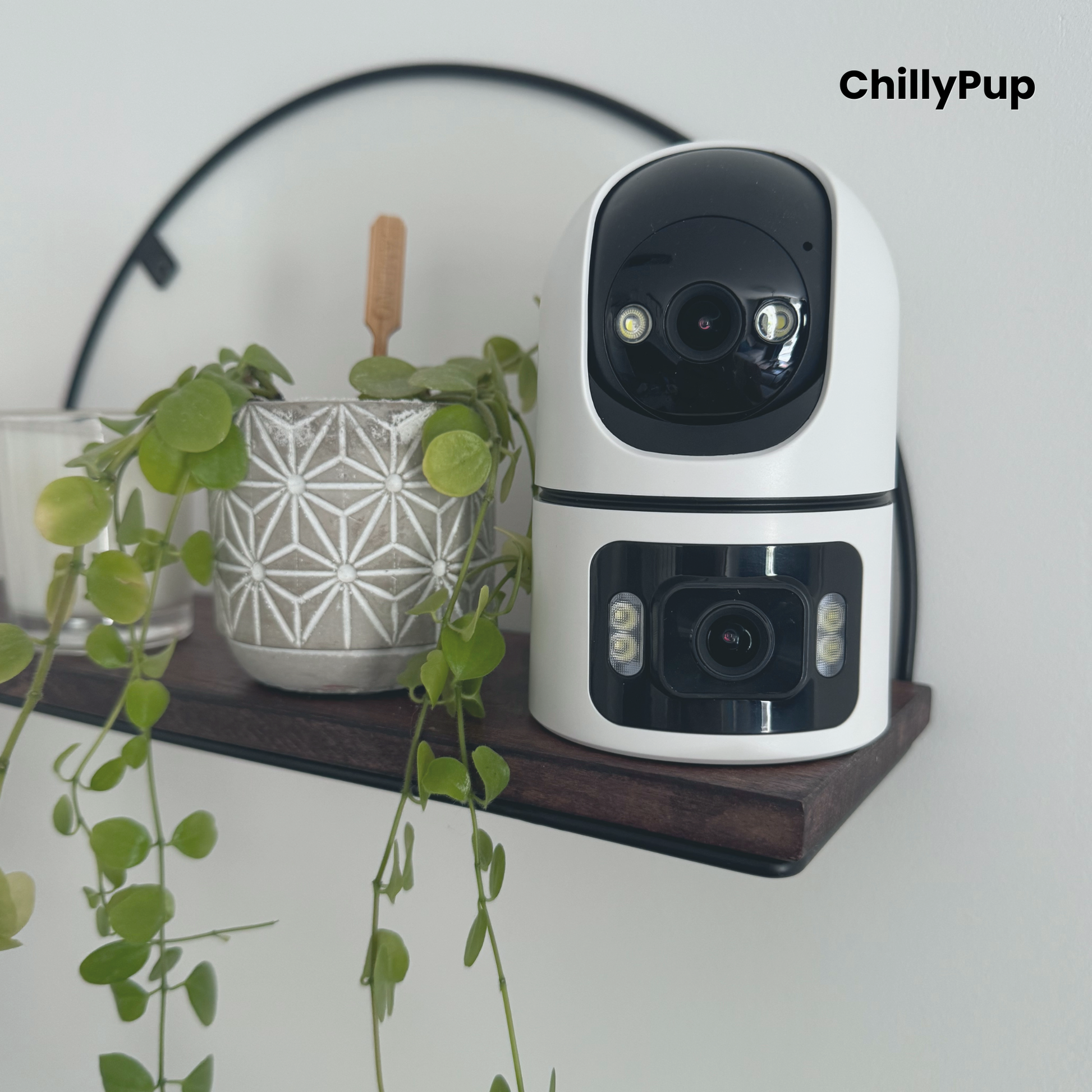 White and black security camera on a wooden shelf with a plant and decorative item in the background, branded 'ChillyPup'.