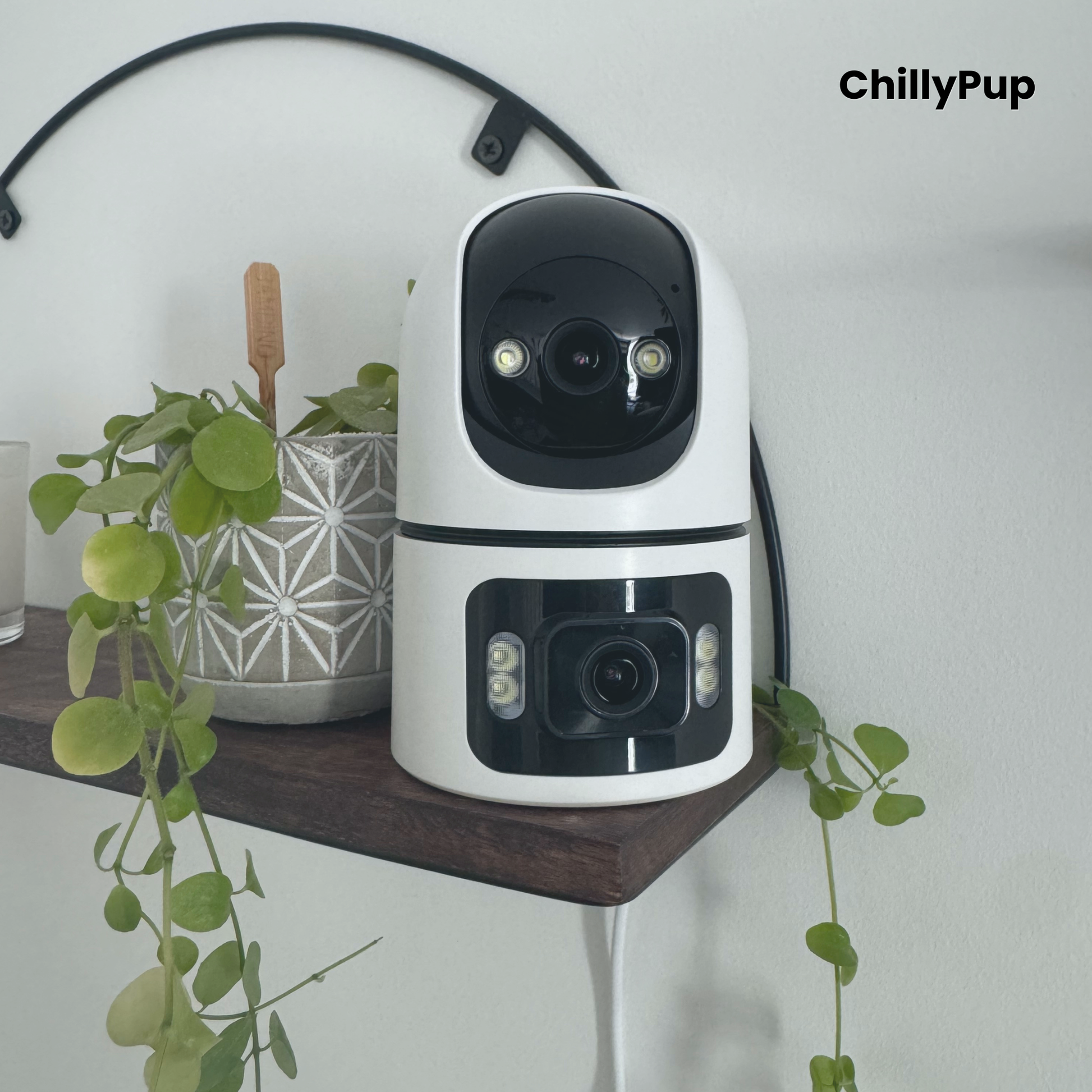 White and black security camera on a wooden shelf with a plant and decorative item in the background, branded 'ChillyPup'.