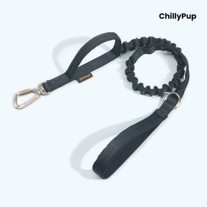 Black dog lead with bungee feature on a white background, branded 'ChillyPup'.