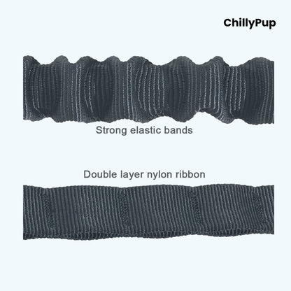 dog lead with bungee feature on a white background, branded 'ChillyPup'.