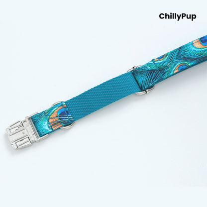 Peacock Feather Dog Collar