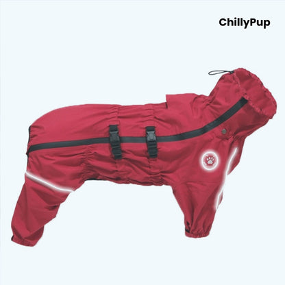 Rain Guard Full-Body Dog Raincoat on a white background with Chillypup branding.