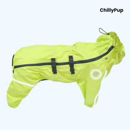 Rain Guard Full-Body Dog Raincoat on a white background with Chillypup branding.