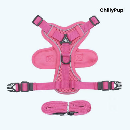 Pink dog harness with matching lead on a white background, branded 'ChillyPup'.