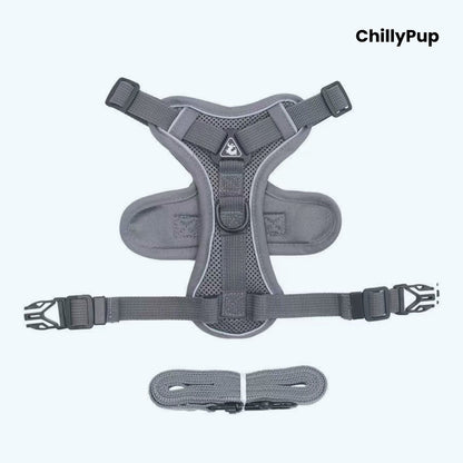 Grey dog harness with matching lead on a white background, branded 'ChillyPup'.