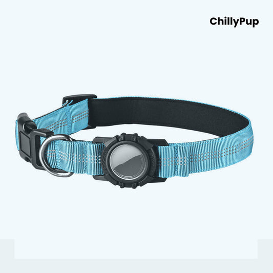 Blue dog collar with a black buckle and reflective strip on a white background, branded 'ChillyPup'.