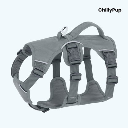 Black dog harness with 'ChillyPup' branding on a white background