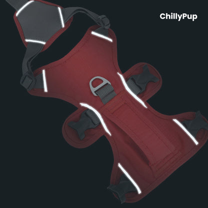 Red dog harness with reflective stripes on a black background, branded 'ChillyPup'.