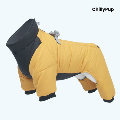 Full body dog coat on a white background with Chillypup branding