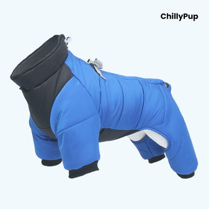 Full body dog coat on a white background with Chillypup branding
