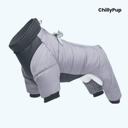 Full body dog coat on a white background with Chillypup branding