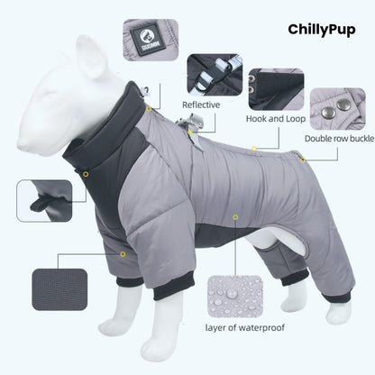 Grey dog coat with features highlighted on a white background, branded 'ChillyPup'