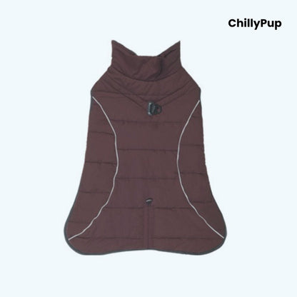 Dog coat showing both sides with Chillypup branding on a white background