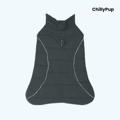 Dog coat showing both sides with Chillypup branding on a white background